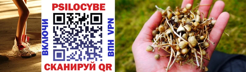 что такое наркотик  Березники  Псилоцибиновые грибы Cubensis 
